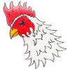 Rooster
