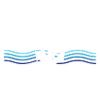 The Boat
