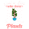Rubber plant