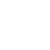 Stegosaurus Dinosaurier Herzschlag Dino Urzeit