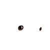 Chiot