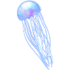 Blue jellyfish