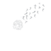 Ski Pusteblume - (SK)