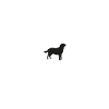 Labrador Heart Line