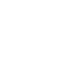 Amira