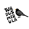 Amsel