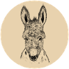 Âne Emil jaune