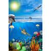Reef Underwater