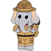 Safari Éléphant