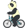 Cycling Panda