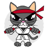 Karate Cat