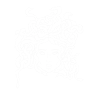 Medusa white