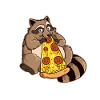 Racoon Wildlife Trash Panda