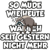schlafender Waschbär Langschläfer müde Spruch