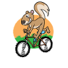 Écureuil Vélo Chipmunk