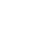 Dinosaur fossil skeleton pteranodon
