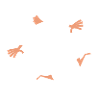 The Portal