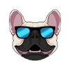 French Bulldog Sunglasses