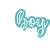 boy mom
