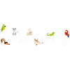 Veterinarian Veterinarian