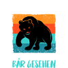 Bär Bären Raubtier