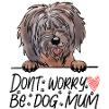tibet-terrier