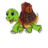 Turtle on the road