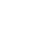 Poker Chip Icon