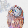 Hibou