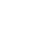 E-roller Icon