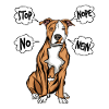 American Staffordshire Terrier