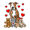 Amerikansk Staffordshire Terrier