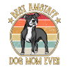 American Staffordshire Terrier