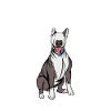 Bullterrier