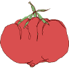 Herr Tomate