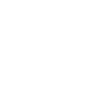 Mein Pointer hört fantastisch Hunde