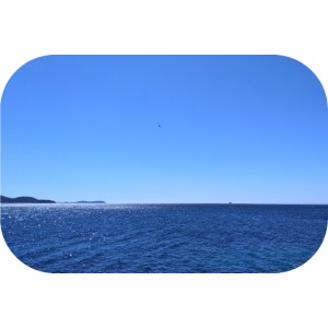 L'horizon depuis Toulon, sous un fier goéland