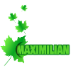 Ahornblatt für Maxi Maximilian