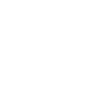Steinmetz