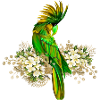 Cute parrot with flowers