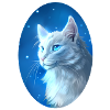 Cloudtail Cloud Tail Warrior Cats White Cat