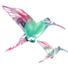 kolibri, graffiti ,malerei, blumen,vogel,malerei,