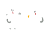 Fechtkatzen Katze Fechten Fechter Fecht