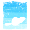 Beaver