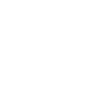 Kooikerhondje Dad Papa