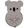 Adorable Koala