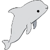 Adorable Dolphin