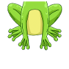 Frosch Kostüm Karneval Fasching Frosch