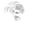 Irish Wolfhound Dog