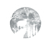 Sheep Shepherd